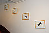 Bild 52 vergrern