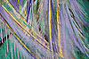 Bild 06 vergrern