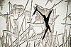 Bild 23 vergrern