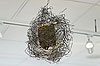 Bild 62 vergrern