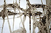 Bild 05 vergrern