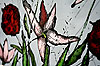 Bild 51 vergrern